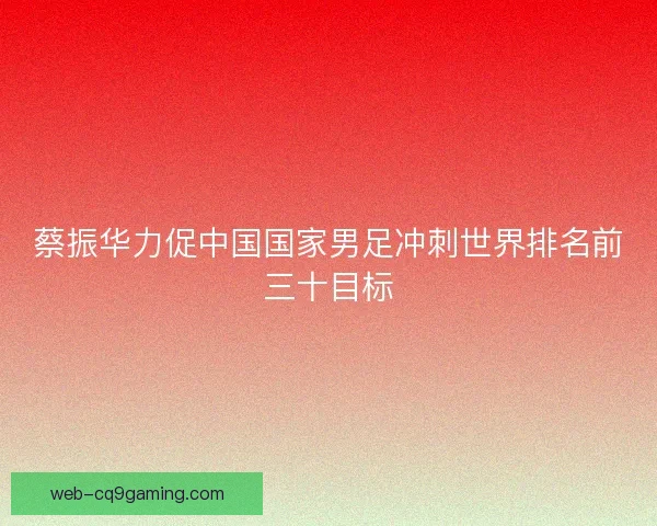 蔡振华力促中国国家男足冲刺世界排名前三十目标